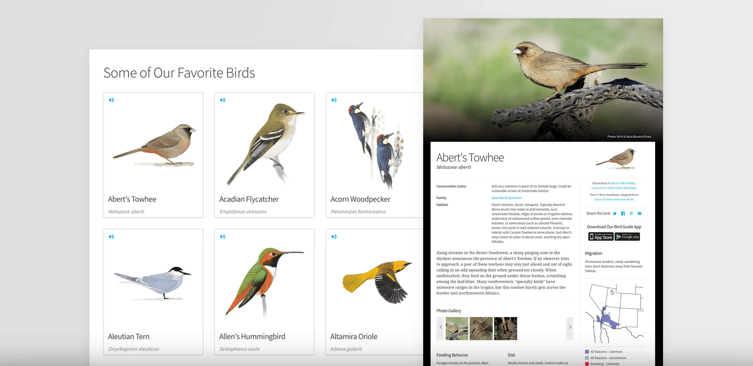 Birds page