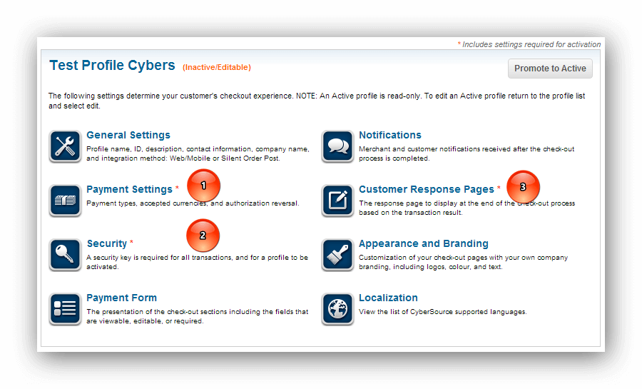 Cyber Source Test Profile Cybers