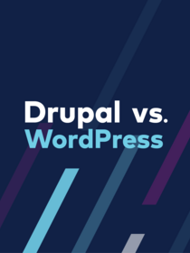 Teaser for Drupal vs Wordpress ebook