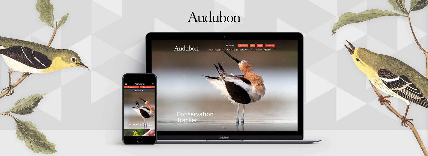 Header of Audubon Society & Drupal blog