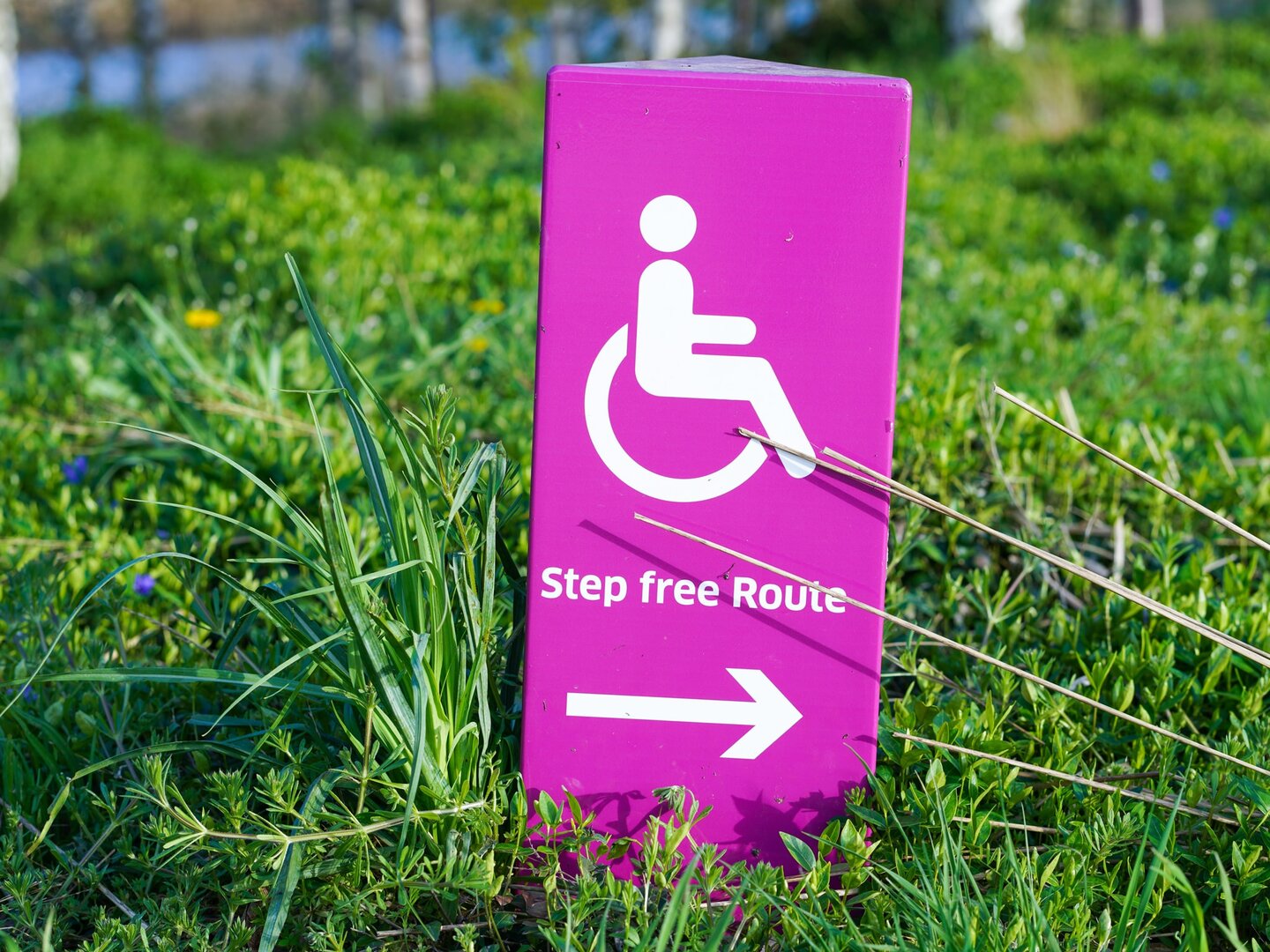Image of pink wheelchair accessible sign in grass that says "Step free Route"